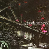 machine heart