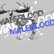 maleblood