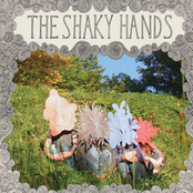 Summer's Life by The Shaky Hands