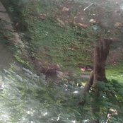 Isnt it peaceful here now