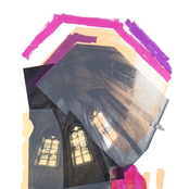 The Age Of The Dandelion