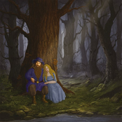 Daybreak in the Old Forest