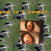 i was talking to this guy who said the property value goes up 4% if you paint everything grey