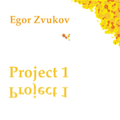 Project 1