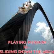 is...Sliding Down The Arch