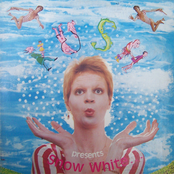 Presents Snow White... And the Eight Straights