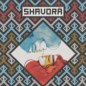 Raizes E Asas, Vol. 1