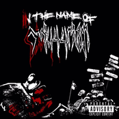 In The Name of Distortion