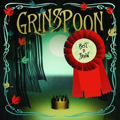 More Than You Are by Grinspoon