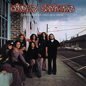 Free Bird by Lynyrd Skynyrd