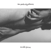 New Year’s Daydream