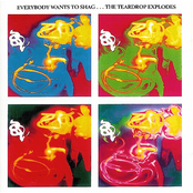 Not My Only Friend by The Teardrop Explodes