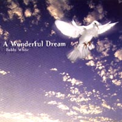 A Wonderful Dream