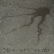 Follow Me Into The Water