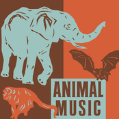 Animal Music – Sound & Song In The Natural World