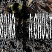 Song 4 a Ghost