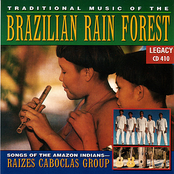 Traditional Music Of The Brazilian Rain Forest