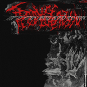 Top 10 Songs About Blood and Gore