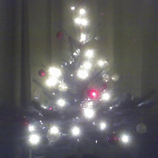 Sensation Smith's Christmas Shindig