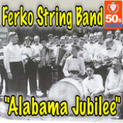 ferko string band