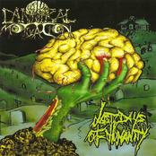 Last Days Of Humanity / Cannibal Motivation