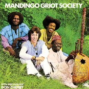 Mandingo Griot Society (feat. Don Cherry)