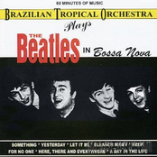 And I Love Her by Brazilian Tropical Orchestra