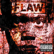 Flaw - Only the Strong