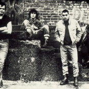 Agnostic Front photo provided by Last.fm