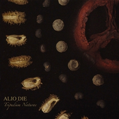 Speculum Naturae by Alio Die