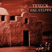BXG STEPPA