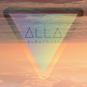 Albatross