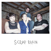 Scrap Brain