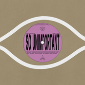 So Unimportant