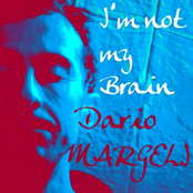 I'm Not My Brain