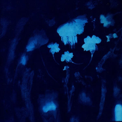 Cyanotype [Explicit]