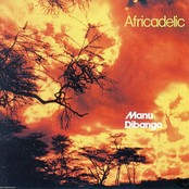 Africadelic by Manu Dibango