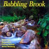 Babbling Brook