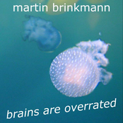 brains are overrated