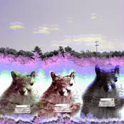 something I can't quite see