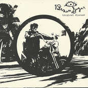 Brown Sugar: Tropical Disease