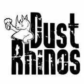 Lanigans Ball by Dust Rhinos