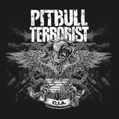 The Silencer by Pitbull Terrorist