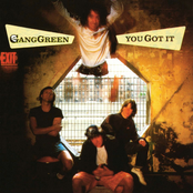 We'll Give It To You by Gang Green