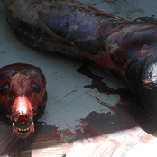 Trying Not To Die And Hating It