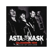 Det Är Snett by Asta Kask