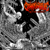 Rotted Divinity (EP)