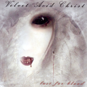 Blood by Velvet Acid Christ