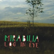 Log In Eye by Mirabilia