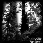 Pale Forest by Wyrd
